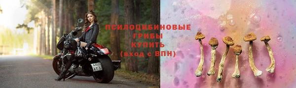герыч Абинск