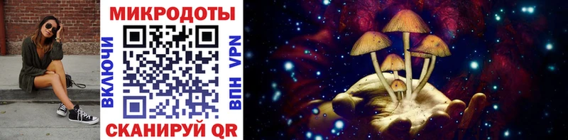 наркотики  Ясный  Галлюциногенные грибы Cubensis 